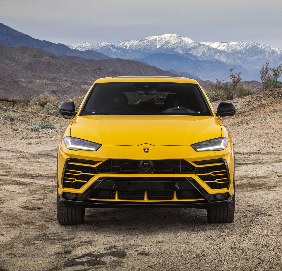 The aggressive face, unmistakably Lamborghini